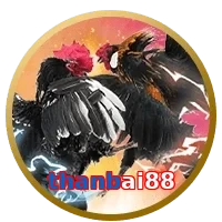 thanbai88